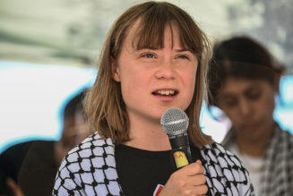 Greta Thunberg's Freedom Flotilla To Gaza Seized