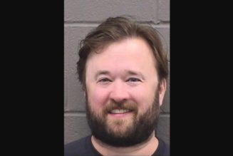 Haley Joel Osment Ordered to Attend AA Following Public Intoxication Arrest