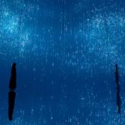 Hamburg to Open UBS Digital Art Museum, Europe's Largest Immersive Art Destination