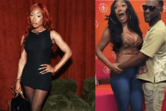 Hands Off The Hottie: Fan Gets A Little Too Handsy With Meg Thee Stallion