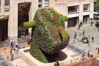 Jeff Koons' 37-Foot 'Split-Rocker' to Blossom at LACMA