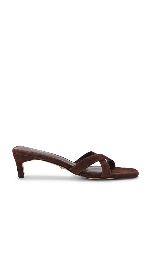 Shea Sandal