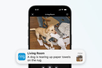 Ring camera alerts are about to get a lot smarter