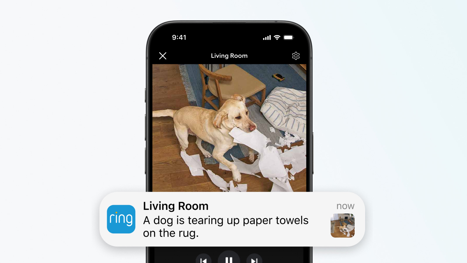 Ring_Video_Descriptions_Dog_1600 ×900