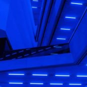 Steve McQueen's 'Bass' Strips Down Cinema and Lays Its Bones Bare
