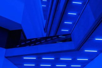 Steve McQueen's 'Bass' Strips Down Cinema and Lays Its Bones Bare