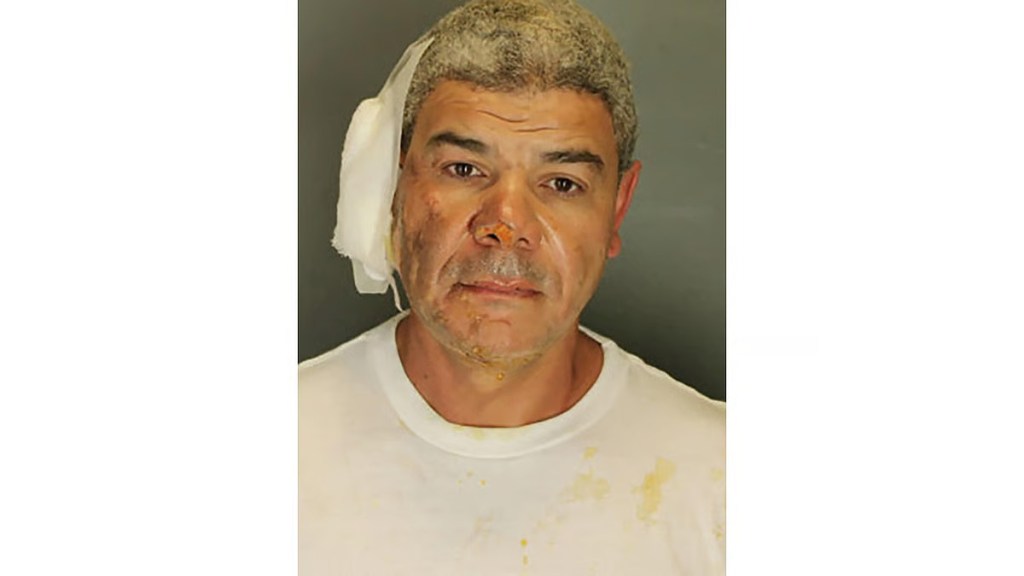 Mohammed Sabry Soliman mugshot