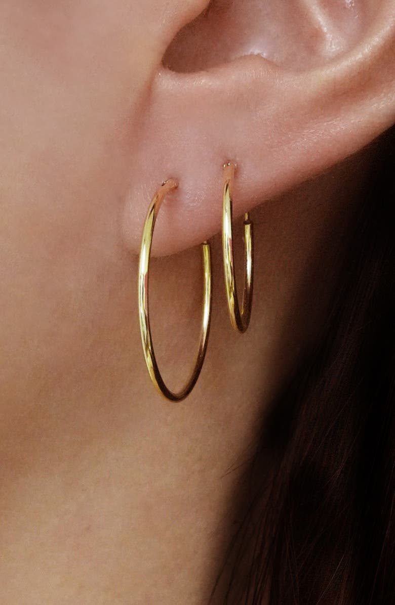 2 Pairs of Endless Hoop Earrings