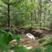A mushroom casket marks a first for ‘green burials’ in the US