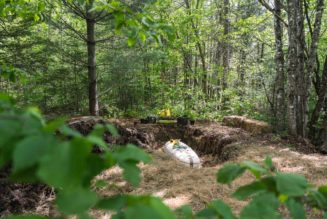 A mushroom casket marks a first for ‘green burials’ in the US