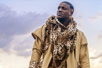 Akon's $6 Billion Crypto City in Senegal Abandoned