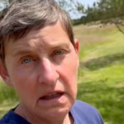 Ellen DeGeneres Confirms She Moved to the UK to Escape Trump