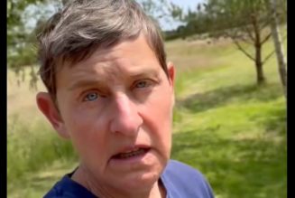 Ellen DeGeneres Confirms She Moved to the UK to Escape Trump