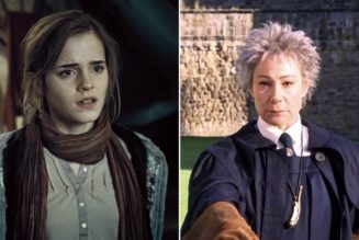 Harry Potter Stars Emma Watson and Zoe Wanamaker Banned from Driving on Same Day