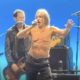 Iggy Pop Performs Viral Superman Song "Punkrocker" Live for First Time