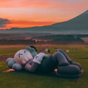 New York Botanical Garden Announces Major KAWS Takeover