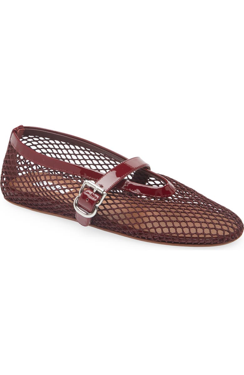 Fishnet Ballerina Flat