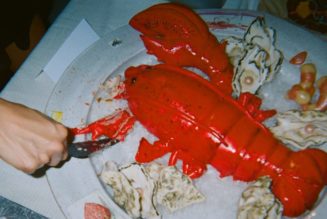 Olympia's 'CAKE' Indulges in the Sweeter Side of Life