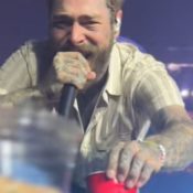 Post Malone Tumbles Off Stage While Toasting a Fan