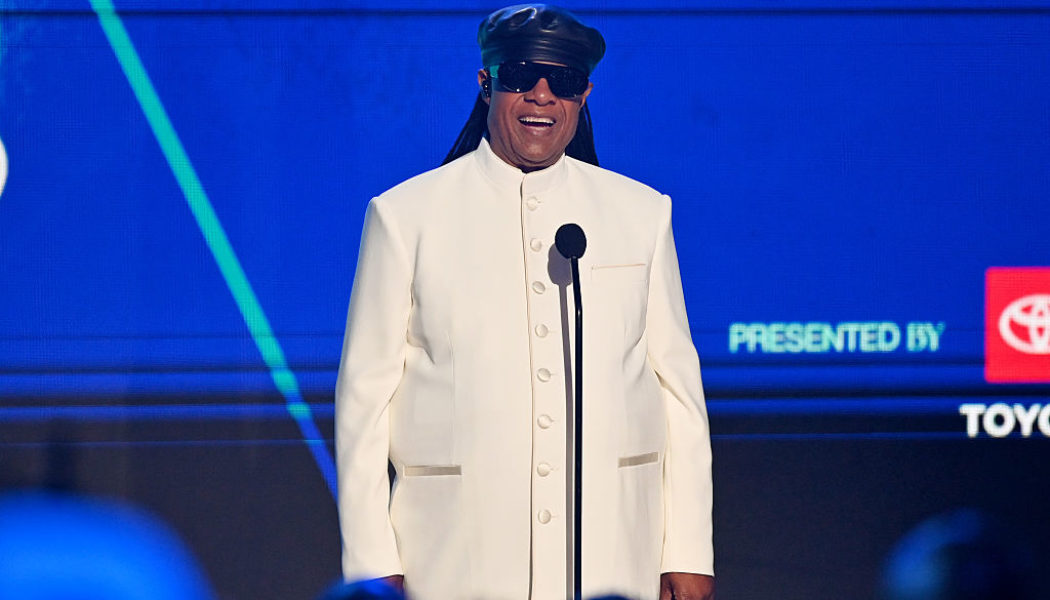 Stevie Wonder's MLK Holiday Journey To Be A Documentary