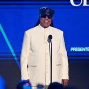 Stevie Wonder's MLK Holiday Journey To Be A Documentary