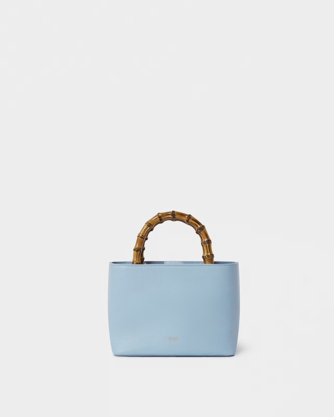 The Mini Clio Leather Grab Bag in Pale Blue - the Mini Clio Leather Grab Bag in Black