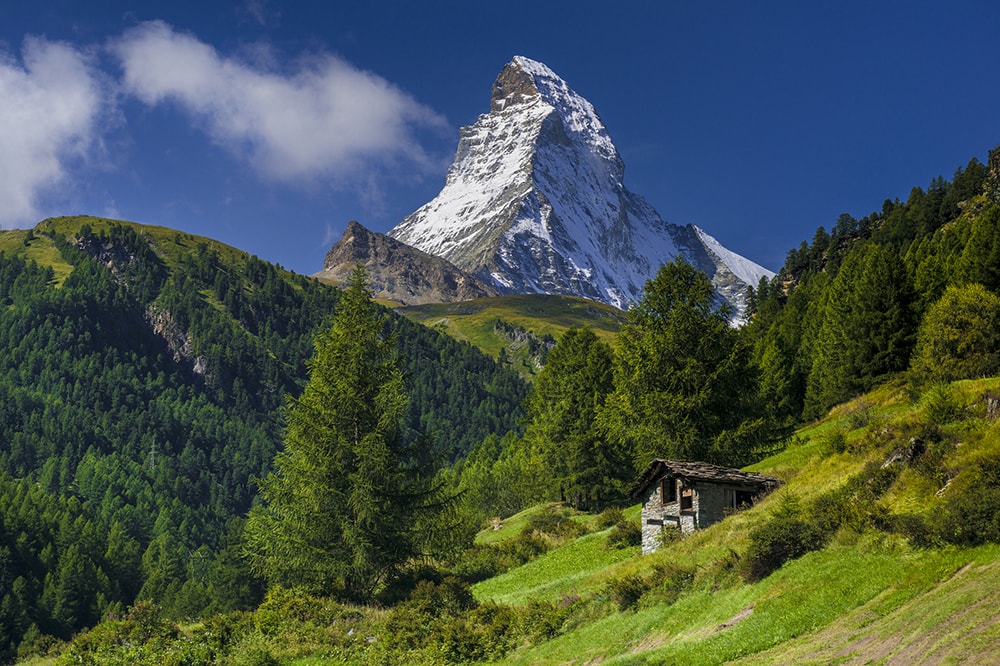 the Matterhorn rises above a lush green landscape