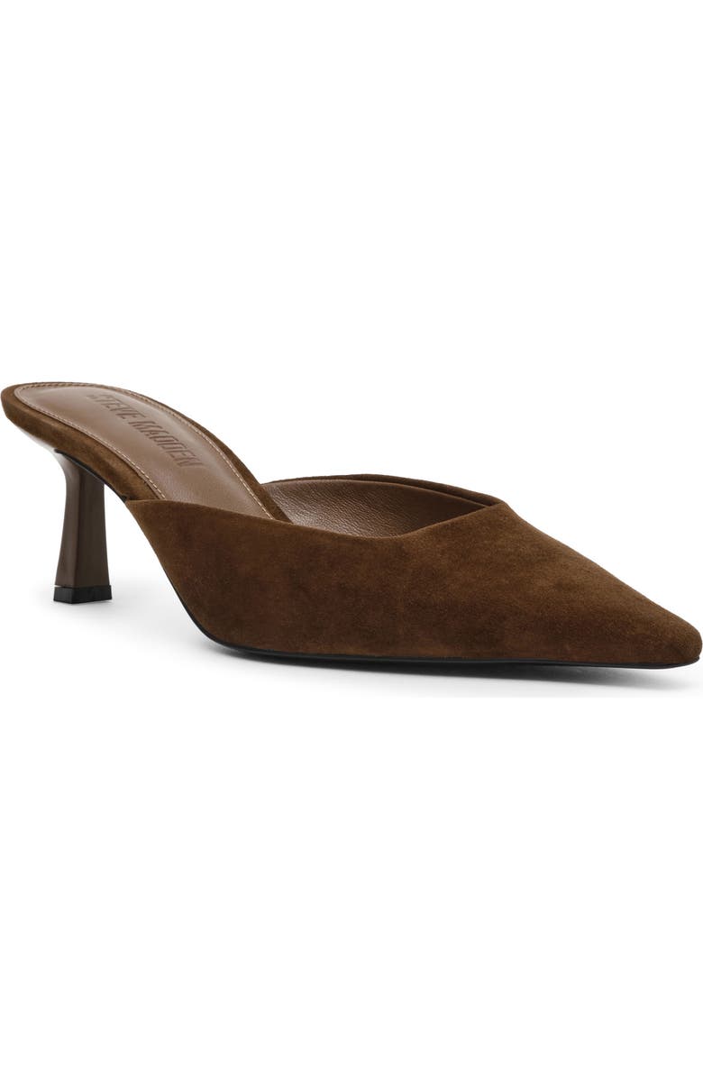Lisbeth Pointed Toe Mule