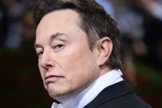 Alex Gibney's Elon Musk Documentary Is Heading to Theaters