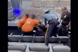 Concertgoer Gets Beatdown After Caught in Lewd Act at Korn & System of a Down Show
