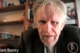 Gary Busey Pleads Guilty to Sex Crimes Charge