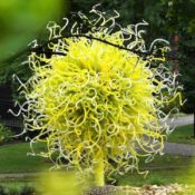 Maker's Mark Hosts Stunning Chihuly Exhibition of Towering Glass