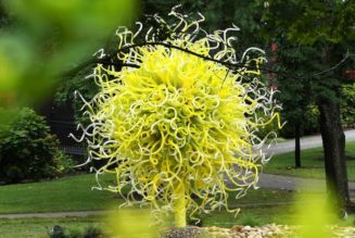Maker's Mark Hosts Stunning Chihuly Exhibition of Towering Glass
