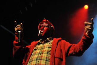New Lawsuit Against Temu Aims At MF DOOM Unsanctioned Likeness Use