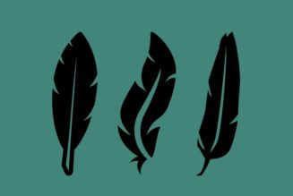 Persönlichkeitstest: Wie werden sie wahrgenommen? Federwahl offenbart es