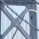Sean MacCormac Became the First Person to Skysurf the San Francisco Bay Bridge — And He Did It Wearing Prada