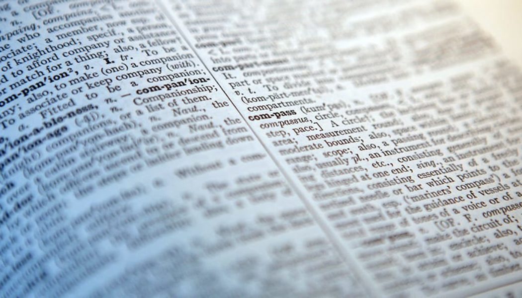 “Skibidi” and “Delulu” Are Officially in the Cambridge Dictionary