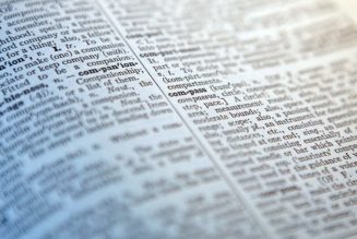 “Skibidi” and “Delulu” Are Officially in the Cambridge Dictionary