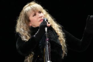 Stevie Nicks Postpones Tour Dates After Fracturing Shoulder