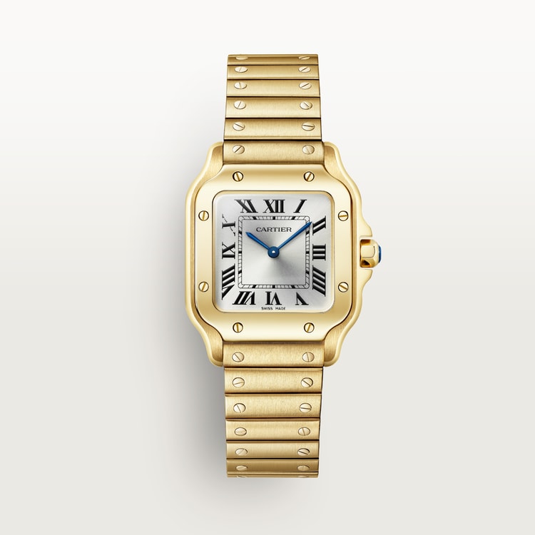 Santos De Cartier Watch