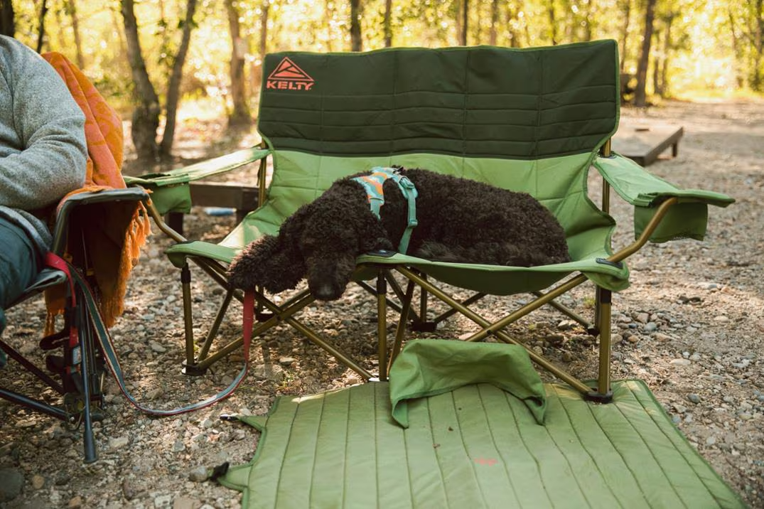 A dog sitting in the Kelty Low Loveseat