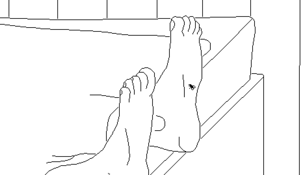 Time Flies is a short meditation on the meaning of life