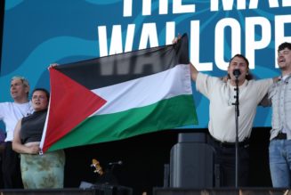 UK Festival Apologizes After The Mary Wallopers' Set Cut Off For Displaying Palestinian Flag