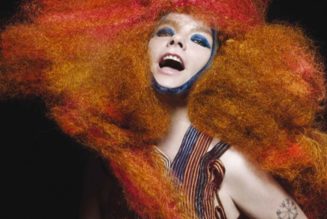 Björk Pulls Music from Israeli Streaming Services in Protest of Gaza