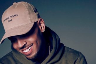 Chris Brown Deletes IG After Colorist Backlash From Kayla Nicole Performance