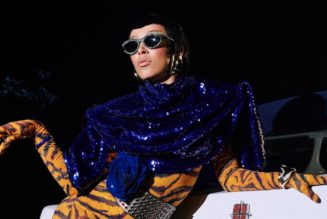 Doja Cat Tries to Reframe Her Purpose in Pop on Vie: Review