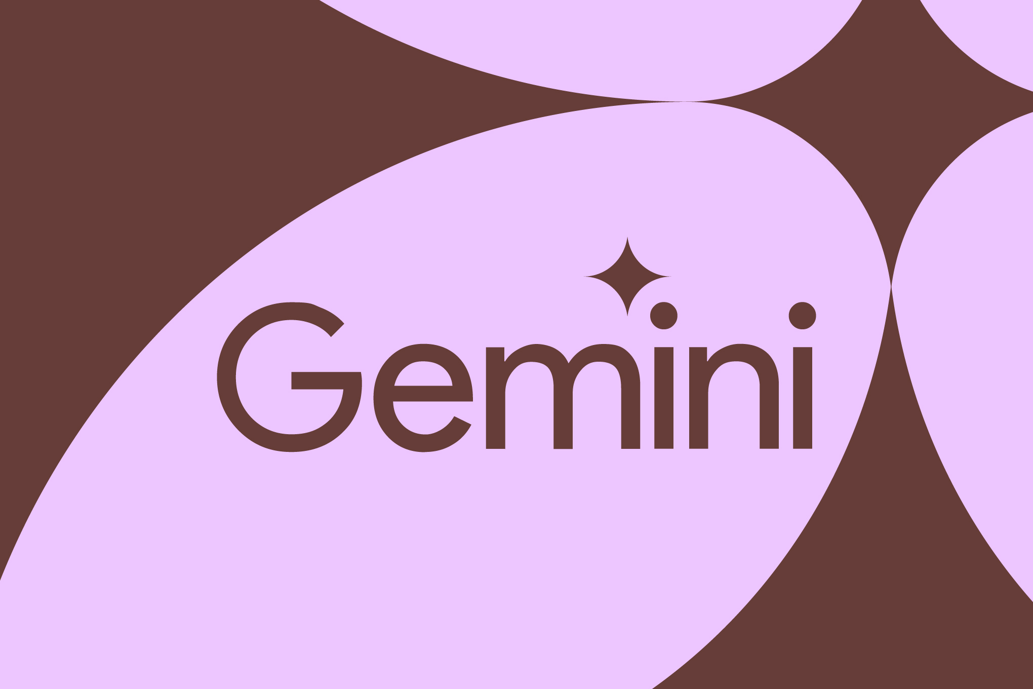 STK255_Google_Gemini_C