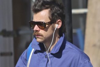 Harry Styles Logs Elite Marathon Time Under Elite Fake Name