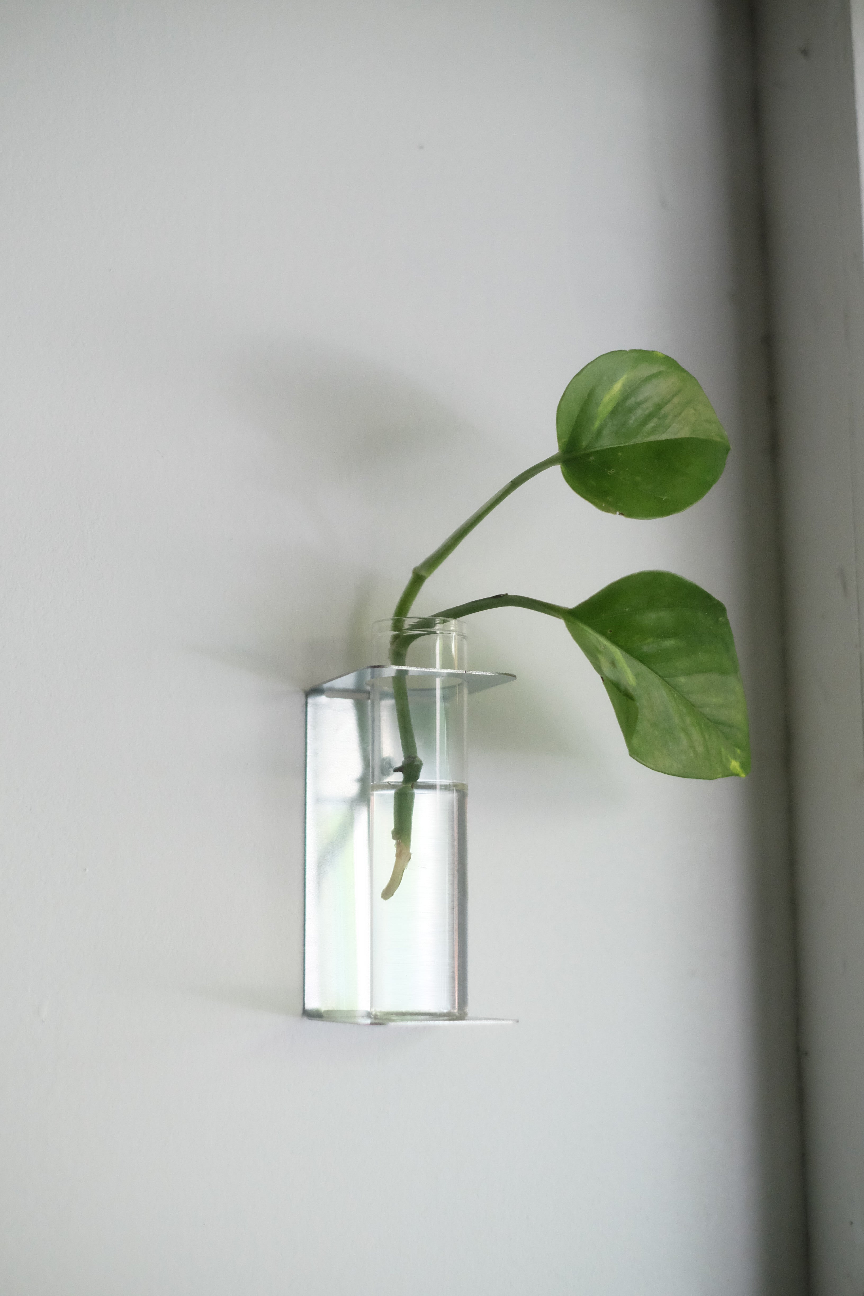 Galvanized Wall Bud Vase