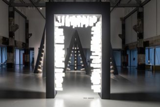 Marina Abramović Honored with Landmark Accademia Show